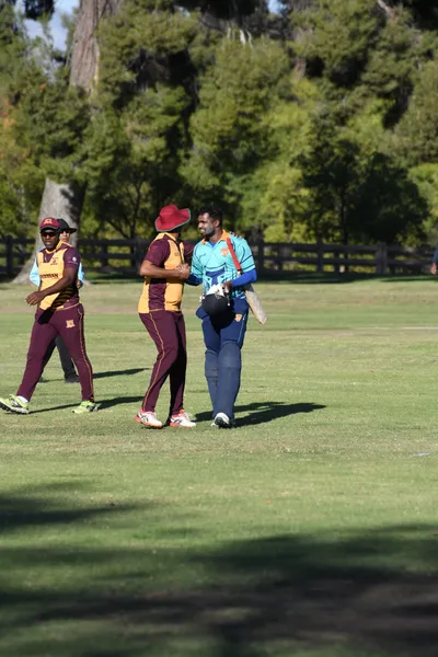 DSC_2357 (Large).JPG